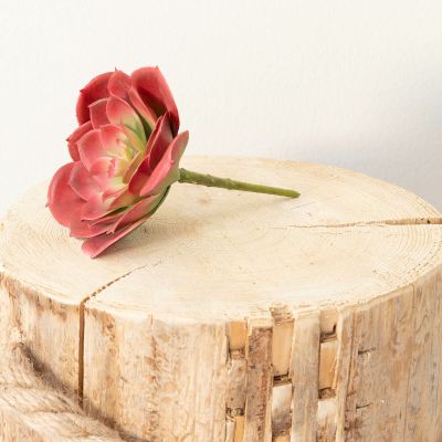 Silkkikasvit Mehitähti Echeveria tekokasvi syksynpunainen | Alk. 0,90 €