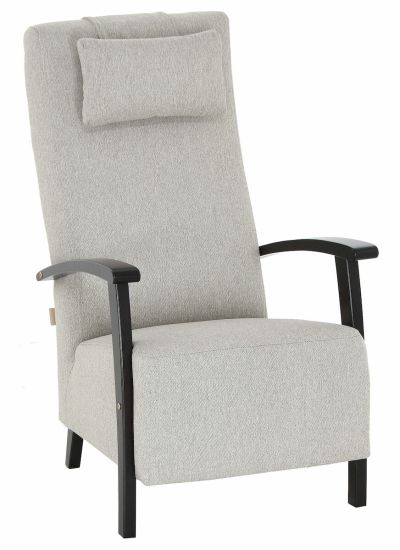 Veke Aina nojatuoli hiekka Grass 06, wenge käsinojat | Alk. 455,00 €