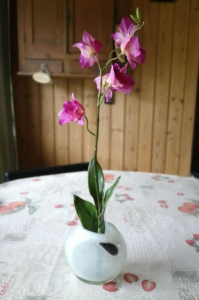 Silkkikasvit Orkidea Dendropium tekokasvi fuksia