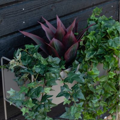 Silkkikasvit Agave tekokasvi viininpunainen | Alk. 8,00 €