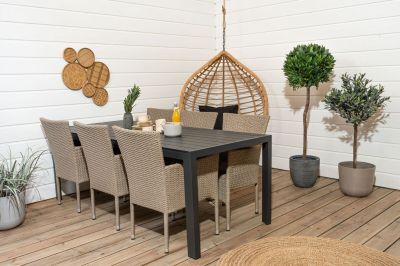 Silkkikasvit Croton ihmepensaan oksa tekokasvi