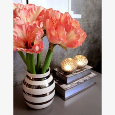 Silkkikasvit Amaryllis salmon | Alk. 8,00 €