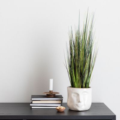 Silkkikasvit Heinä River Grass viiltoheinä tekokasvi 50 cm vihreäruskea