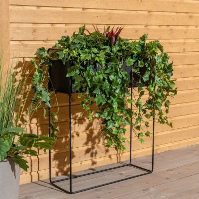 Veke Kallas kukkateline musta | Alk. 79,00 €