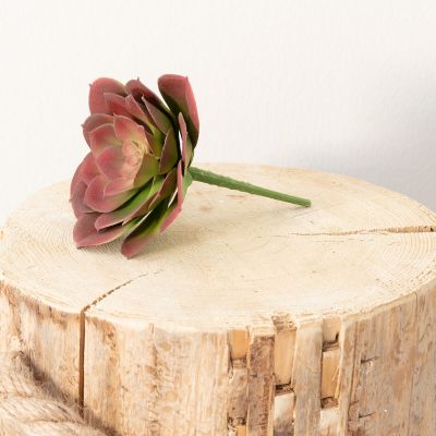 Silkkikasvit Mehitähti Echeveria tekokasvi punaruskea | Alk. 3,30 €