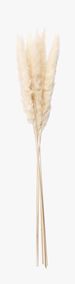 hemtex Pampas small olki luonnonvalkoinen | Alk. 9,95 €
