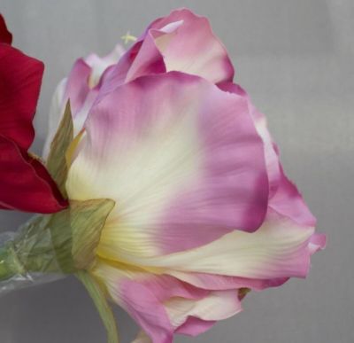 Silkkikasvit Amaryllis rose | Alk. 2,90 €