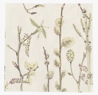 Moments Early Branches paperiservetit keltainen | Alk. 4,95 €