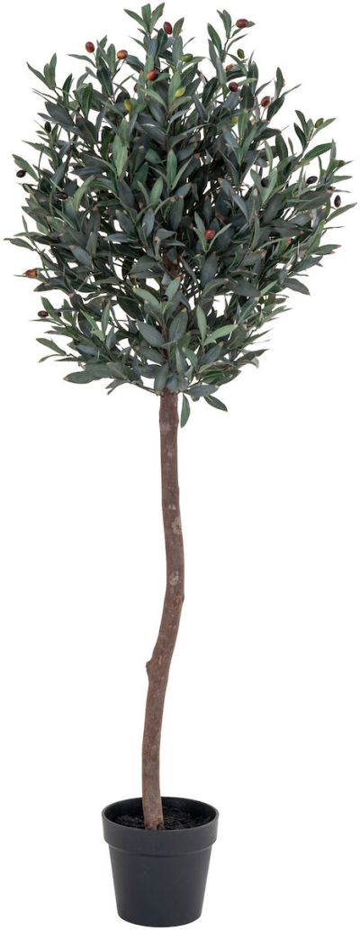 House Nordic oliivipuu 150cm | Alk. 188,00 €