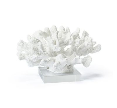 Newport Maya-koralli, valkoinen | Alk. 168,00 €
