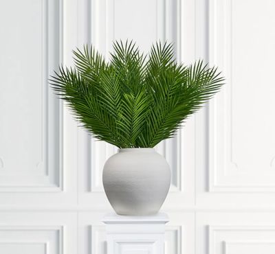 Newport Tekovuoripalmu