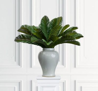 Newport Cycas-lehti, vihreä | Alk. 10,00 €