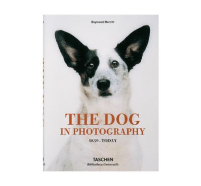 Taschen The Dog In Photography | Alk. 41,00 €