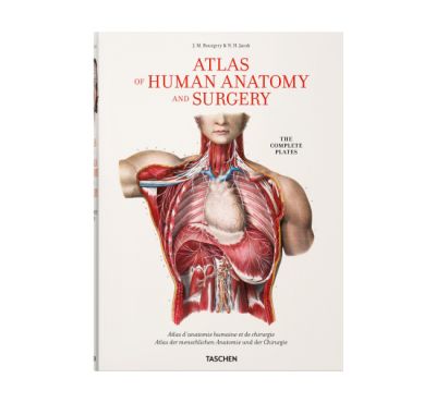 Taschen Atlas of Human Anatomi XL | Alk. 150,00 €