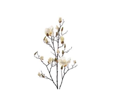 Newport Magnolia-leikkokukka, valkoinen | Alk. 32,00 €