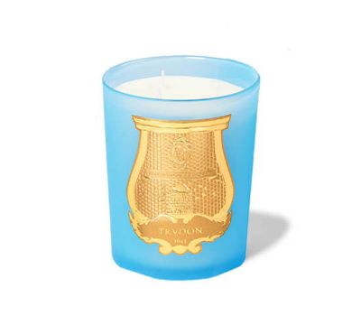 Trudon Versailles tuoksukynttilä | Alk. 346,00 €