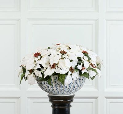 Newport Joulutähti-tekokukka, valkoinen