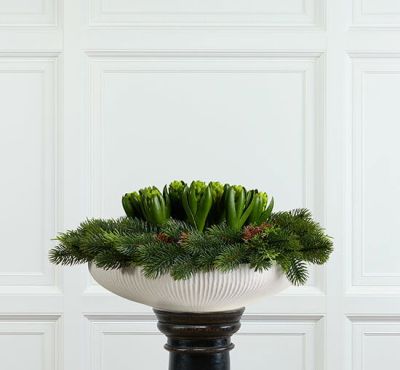 Newport Hyasintti-tekokukka, vihreä