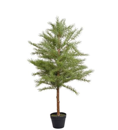 Mr Plant, Lehtikuusi 120 cm | Alk. 155,00 €