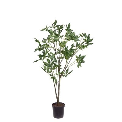 Mr Plant, Pachira puu ruukussa 140 cm | Alk. 339,00 €