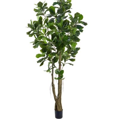 Mr Plant, Viulu Viikuna 270 cm | Alk. 482,00 €