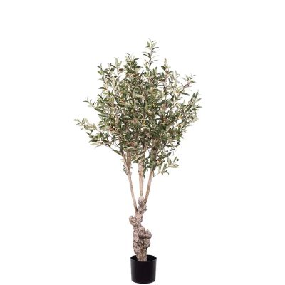 Mr Plant, Oliivipuu 150 cm | Alk. 248,00 €