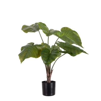 Mr Plant, Alocasia ruukussa 60 cm | Alk. 53,00 €