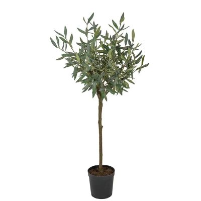 Mr Plant, Oliivipuu 110 cm | Alk. 194,00 €