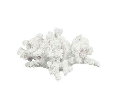 Newport Audette-koralli, valkoinen | Alk. 74,00 €