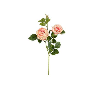 Newport Ruusuleikkokukka vaaleanpunainen | Alk. 8,80 €