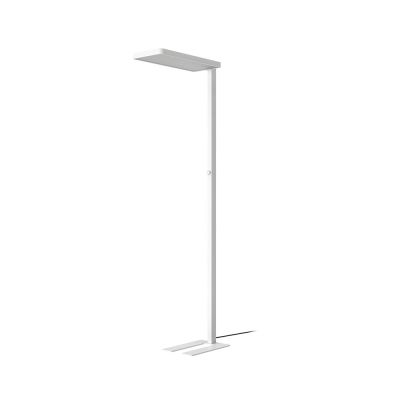 Arcchio - Timon LED Lattiavalaisin Valkoinen | Alk. 396,00 €