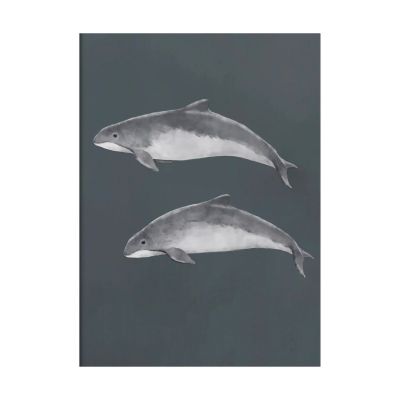 Kunskapstavlan® The alphabet watercolour juliste 50x70 cm | Alk. 44,95 €