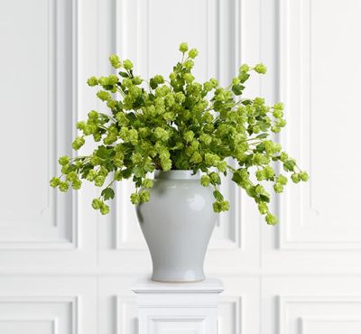 Newport Humle snittblomma grön | Alk. 24,00 €