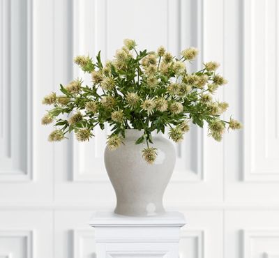 Newport Ohdakkeen oksa vihreä