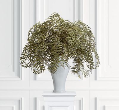 Newport Saniaisten lehti | Alk. 11,00 €
