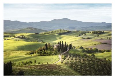 ArtLink Canvas taulu Tuscany 80x120 cm | Alk. 89,00 €
