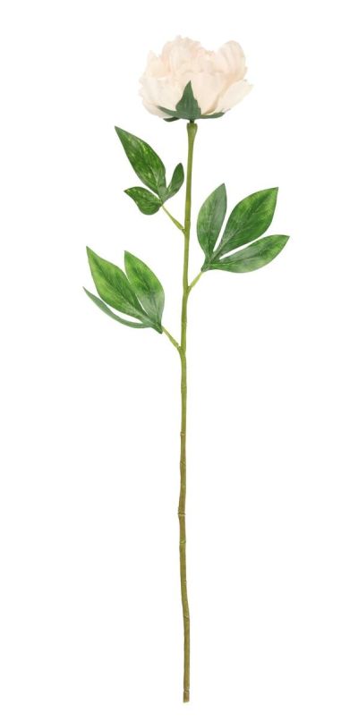 4Living pioni 60 cm kerma | Alk. 2,95 €