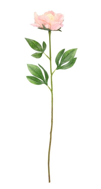 4Living pioni 60 cm vaaleanpunainen