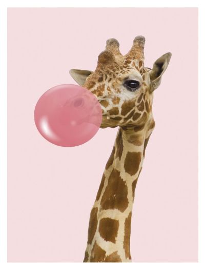 ArtLink Canvas taulu kirahvi 40x50 cm