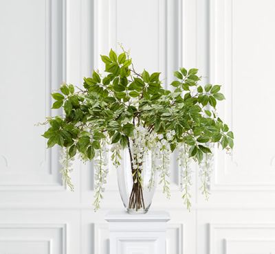 Newport Wisteria-leikkokukka valkoinen | Alk. 27,00 €
