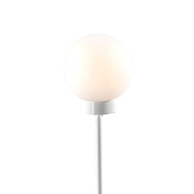 Northern Snowball varalasi valkoinen | Alk. 41,90 €