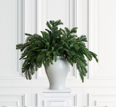 Newport Walter-kuusenoksa vihreä | Alk. 14,00 €