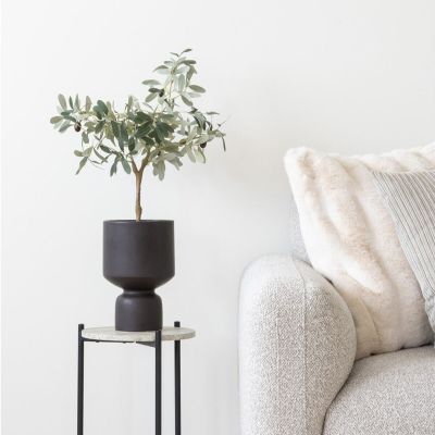House Nordic Oliivipuu tekokasvi 61 cm vihreä | Alk. 49,00 €