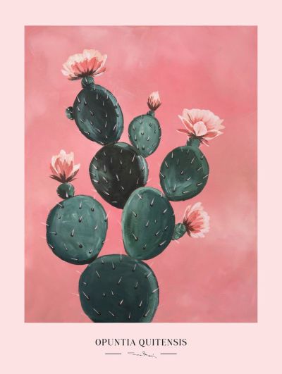 Kaverini Kaktus juliste 50x70 cm | Alk. 34,90 €
