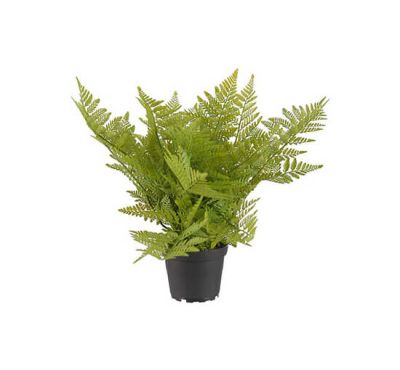 Newport Saniaiset tekokasvi | Alk. 95,00 €