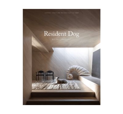 New Mags Resident Dog