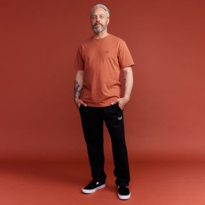 Finlayson Elefantti t-paita Terra