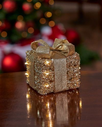 Newport Ophelia present LED Christmas Decoration Champagne | Alk. 16,00 €
