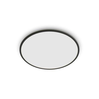 Philips - SuperSlim kattovalaisin musta Ø 25 cm 2700 K IP54 | Alk. 49,99 €
