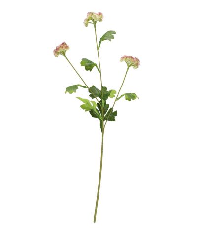 4Living Maksaruoho oksa 60 cm vihreä | Alk. 3,90 €
